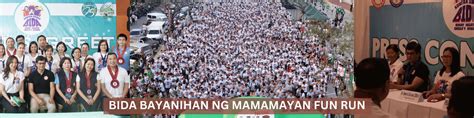 dilg region 1|About Us .